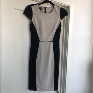 Black and white BEBE dress